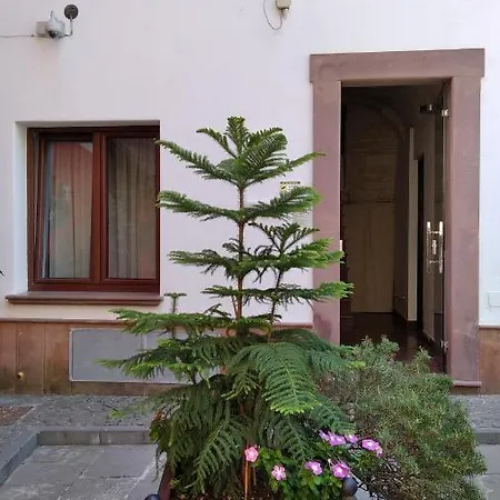Apartment Mario Ossi